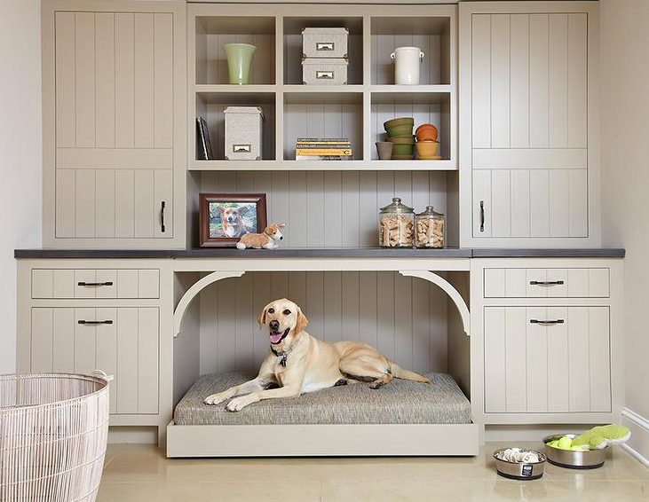 Mudroom with a dog guard