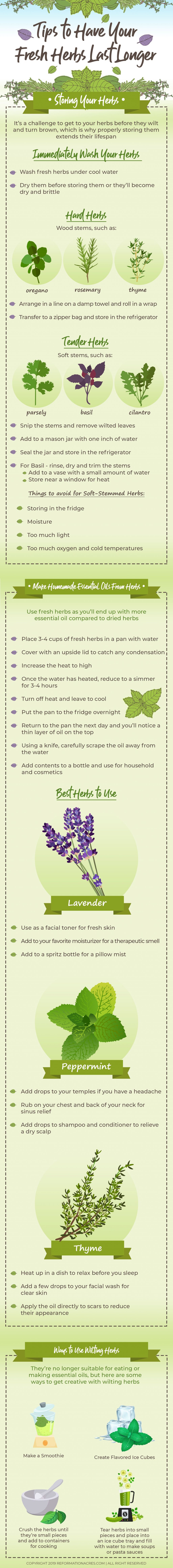 tips for fresh herbs infographic