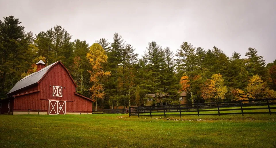 Homesteading in a barn