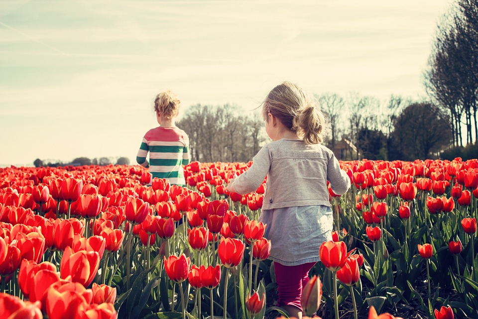 two kids wandering in a field of red tulips