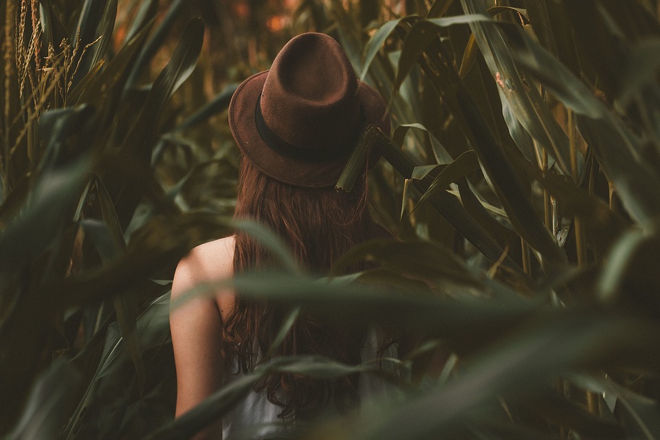 Woman wearing a cap wandering in corn field
