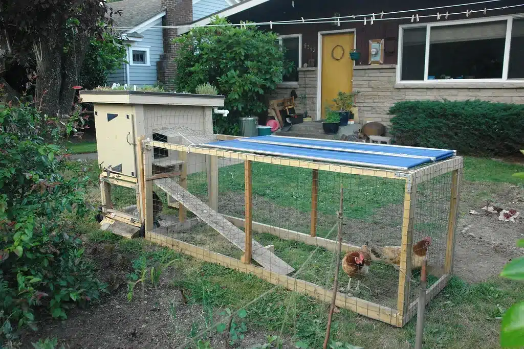 diy chicken coop