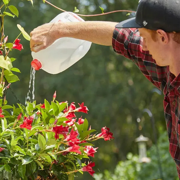 a man watering his plants