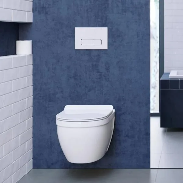 minimalist toilet bowl